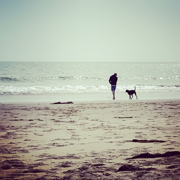 Meet your Posher, Mary Catherine - Picture 4 of 4